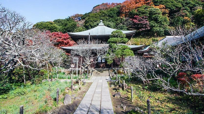 🏯 서성사 (즈이쇼지) 이미지 1